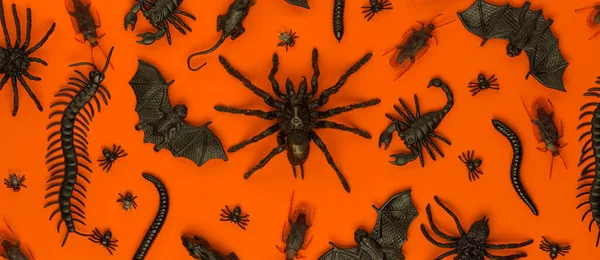 Black Halloween Creepy Crawly Bugs Spiders Orange Background — Stock Photo, Image