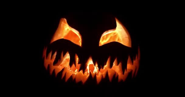 Kísérteties Halloween Jack Lámpás Izzó Ijesztő Arc Faragott Egy Tök — Stock videók