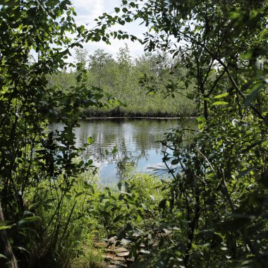 Doğal göl, bulutlar ve birçok ağaç ve sakin berrak su ile yeşil orman ile mavi gökyüzü