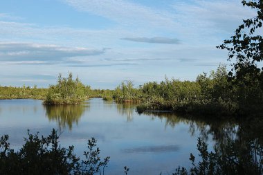 Doğal göl, bulutlar ve birçok ağaç ve sakin berrak su ile yeşil orman ile mavi gökyüzü