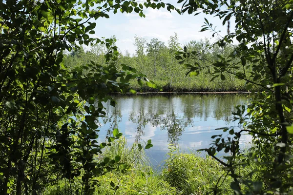 Doğal göl, bulutlar ve birçok ağaç ve sakin berrak su ile yeşil orman ile mavi gökyüzü
