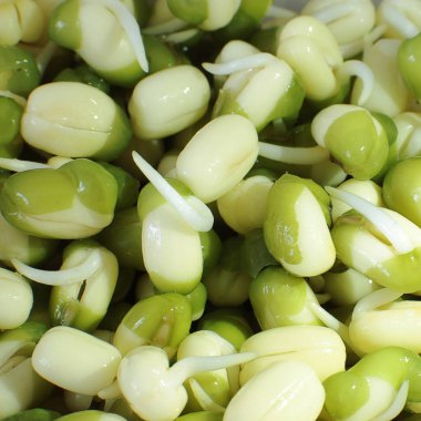 Makro fotoğraf arka plan püre filizlendi, fide gıda vejetaryenler ve ham yemek, doku vejetaryen diyet