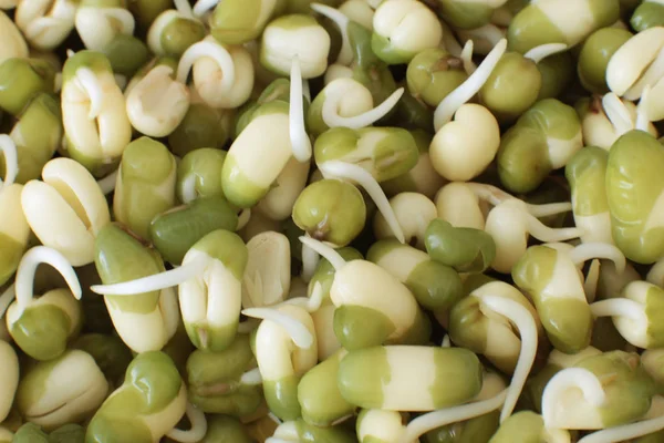 Macro Foto Fondo Brotado Puré Plántulas Alimentos Vegetarianos Crudos Para —  Fotos de Stock