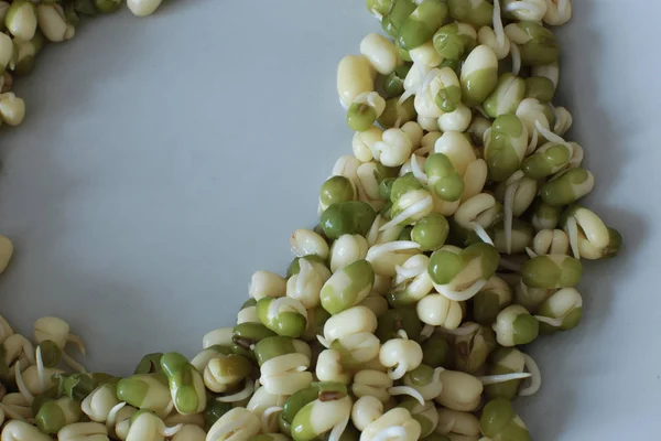 Macro photo of sprouted mung bean, vegetarians and raw food sprouts, free space on the photo to write a recipe
