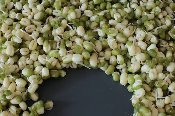 发芽绿豆 素食者和生食芽的宏观照片 照片上的空白空间写食谱 — 图库照片
