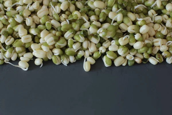 Macro photo of sprouted mung bean, vegetarians and raw food sprouts, free space on the photo to write a recipe