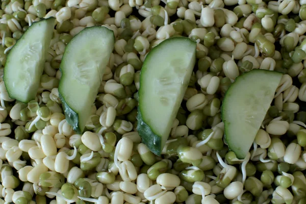 Macro Foto Frijol Mungo Germinado Pepino Germinados Vegetarianos Alimentos Crudos — Foto de Stock