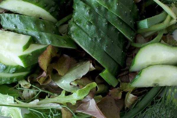 Macro Photo Cucumber Dill Lettuce Leaves Vegetarian Raw Eat Cut — Stock Photo, Image