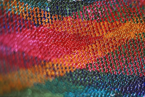 Yuvarlak şekil el yapımı makro görünüm glitter arka plan parlak malzeme payetler ve payetler küçük düz pul Makro fotoğraf Doku