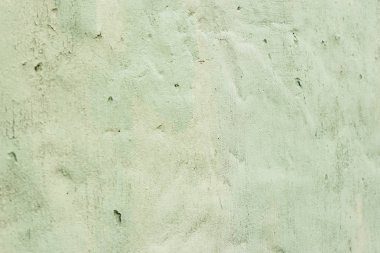 Fıstık rengi açık yeşil arkaplan, yeşil desenli renk