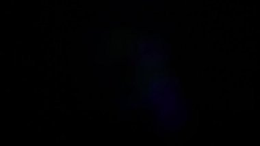 Bokeh farklı renklerde yanıp sönen daireler şeklinde