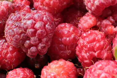 Sulu olgun ahududu çilek makro görünümü Lots