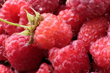 Sulu olgun ahududu çilek makro görünümü Lots