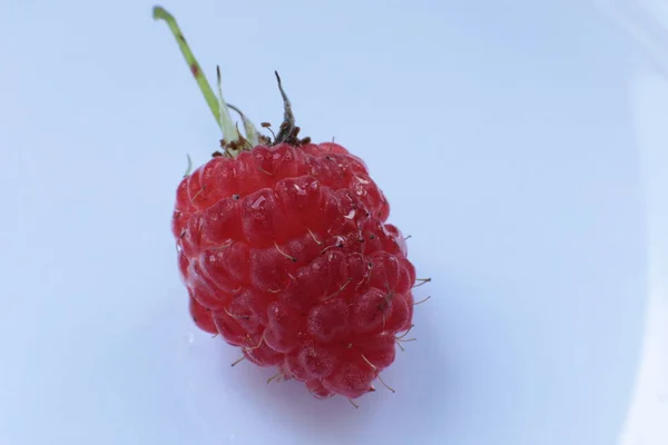 Uma Suculenta Fruta Madura Framboesa Macro Vista — Fotografia de Stock