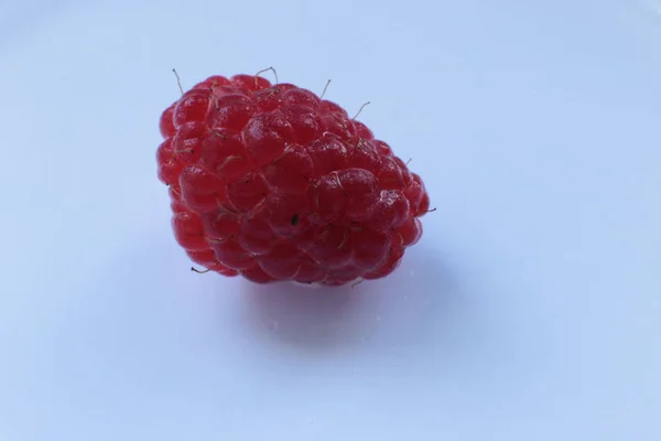 Uma Suculenta Fruta Madura Framboesa Macro Vista — Fotografia de Stock