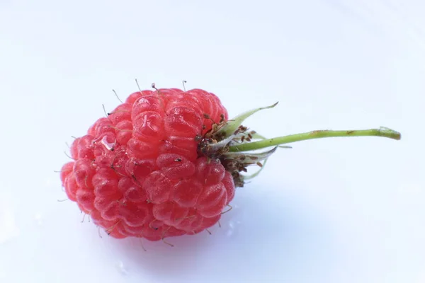 Bir Sulu Olgun Berry Ahududu Makro Görünümü — Stok fotoğraf