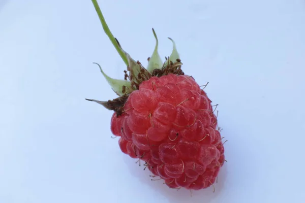 Uma Suculenta Fruta Madura Framboesa Macro Vista — Fotografia de Stock