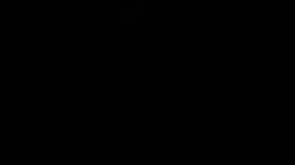 Фон Боке Світла Формі Багатобарвних Кіл Різний Яскравий Блиск Спалах — стокове відео