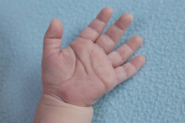 Bir bebek iki aylık, el ve küçük parmaklar hattının çocuk görünümü avuç makro fotoğraf