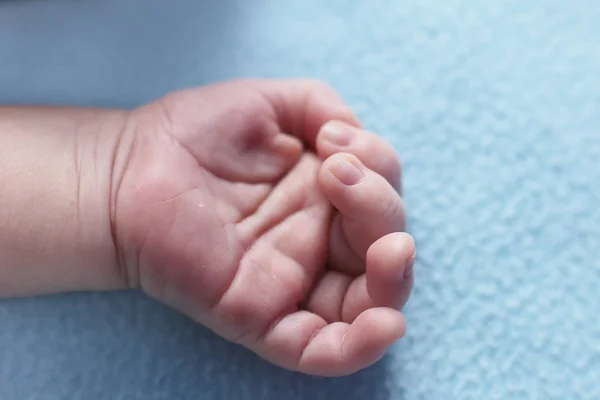 Infant Two Months Old Macro Photo Palm Kid View Line — Stock Photo, Image