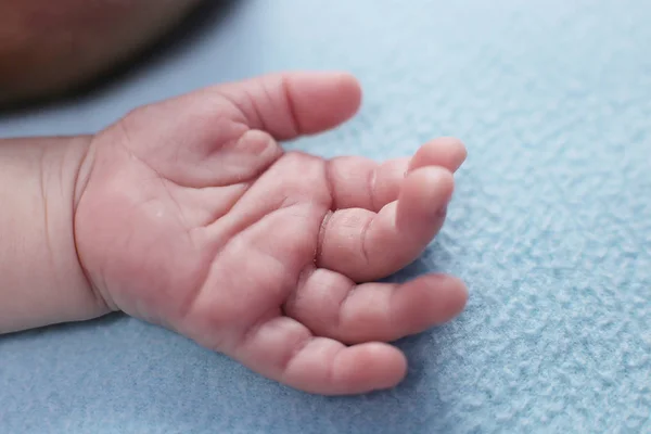 Infant Two Months Old Macro Photo Palm Kid View Line — Stock Photo, Image