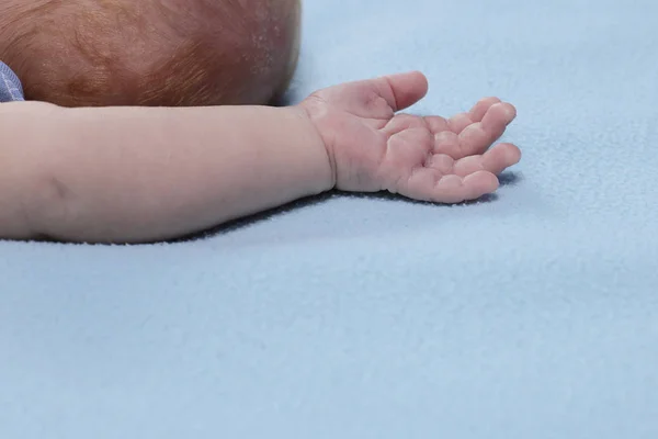 Infant Two Months Old Macro Photo Palm Kid View Line — Stock Photo, Image