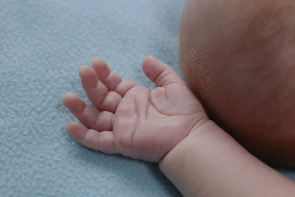 Bebé Tiene Dos Meses Edad Macro Foto Palma Vista Del —  Fotos de Stock