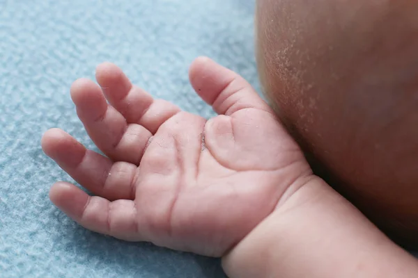 幼児は生後2ヶ月 手と小指の線の子供の手のひらのマクロ写真 — ストック写真