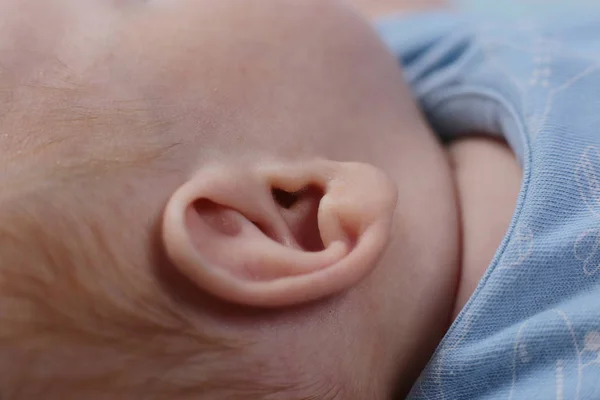 Bebé Tiene Dos Meses Edad Foto Macro Oreja Bebé —  Fotos de Stock