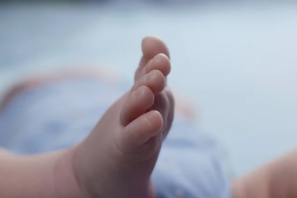 Infant Two Months Old Macro Photo Baby Feet View Heels — Stock Photo, Image