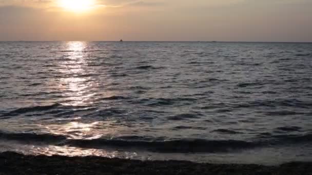 海岸有小鹅卵石和清澈的水波 — 图库视频影像