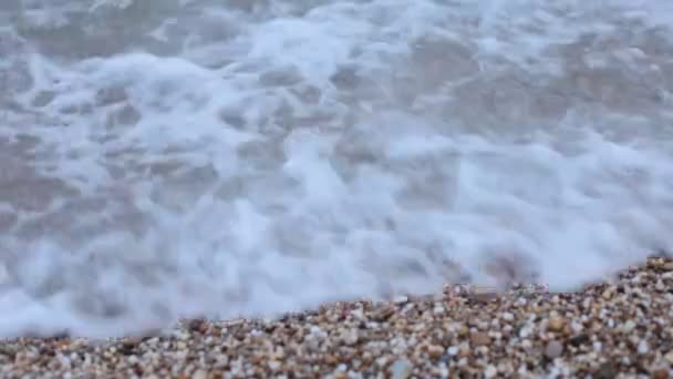 海沿岸の小さな波がビーチの潮を揺さぶる — ストック動画