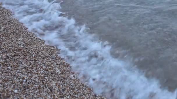 Kleine Golven Kust Pebble Beach Tide — Stockvideo