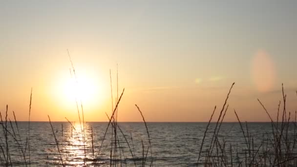 Solnedgång Utsikt Över Det Lugna Havet Små Vågor Och Klar — Stockvideo