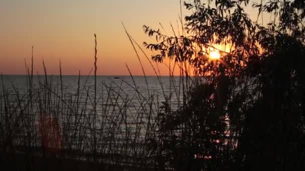 Solnedgång Utsikt Över Det Lugna Havet Små Vågor Och Klar — Stockvideo