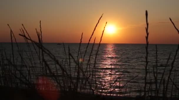 Sonnenuntergang Blick Auf Das Ruhige Meer Kleine Wellen Und Klaren — Stockvideo