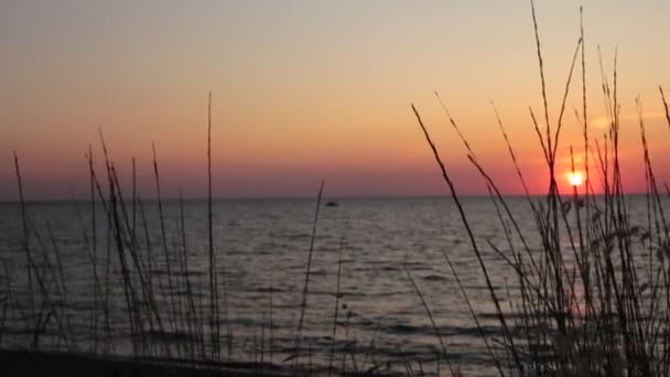 Coucher Soleil Sur Mer Calme Petites Vagues Ciel Clair Dégradé — Video