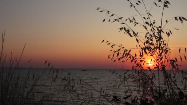 Вид Захід Сонця Спокійне Море Невеликі Хвилі Ясне Небо Градієнтні — стокове відео