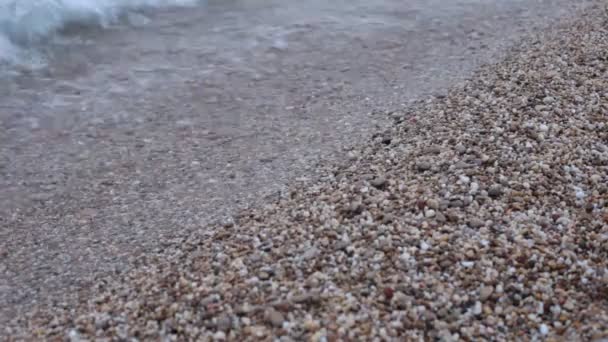 Petites Vagues Sur Mer Côte Plage Galets Marée — Video