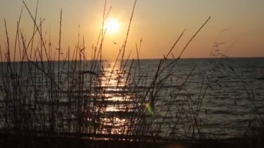 Meditasyon ve gevşeme güzel gün batımı için deniz video Dawn ve küçük dalgalar