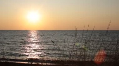 Meditasyon ve gevşeme güzel gün batımı için deniz video Dawn ve küçük dalgalar