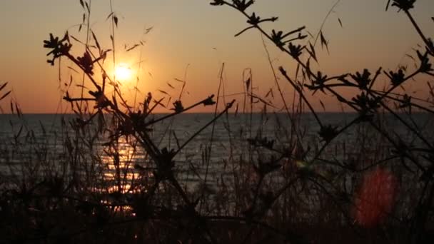 Dawn Kleine Golven Zee Video Voor Meditatie Ontspanning Prachtige Zonsondergang — Stockvideo