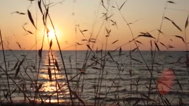 黎明和小波在海上视频冥想和放松美丽的日落 — 图库视频影像