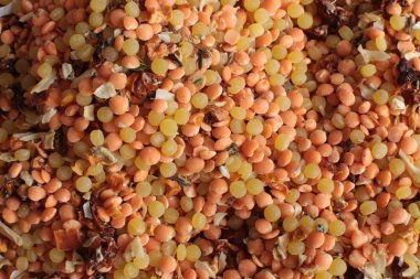 Kırmızı mercimek ve küçük makarna makro görünümü, tokluk ve vejetaryen için lezzetli ve sağlıklı gıda İtalyan kuru çorbası