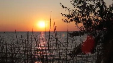 Dünya gezegeninin deniz manzarası doğal güzelliği temiz su ve temiz hava