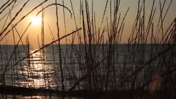 Seascape Beleza Natural Planeta Terra Água Limpa Fresco — Vídeo de Stock