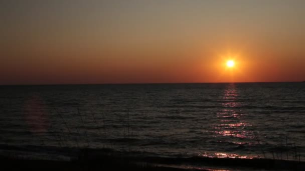 Приморская Красота Планеты Земля Чистая Вода Свежий Воздух — стоковое видео