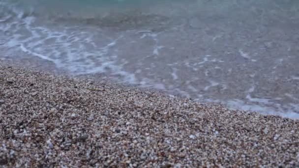 Beleza Natural Incrível Riqueza Fresco Oceano Muita Água Mar Está — Vídeo de Stock