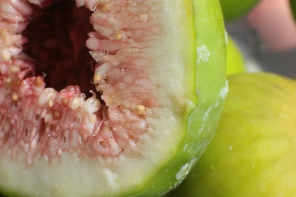 Higuera Verde Cosecha Foto Macro Fruta Madura Sabrosa Sana — Foto de Stock