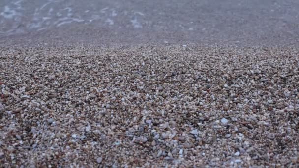 Deniz Manzarasının Okyanustaki Dalgaların Doğal Güzelliği Tahılın Gücüdür — Stok video